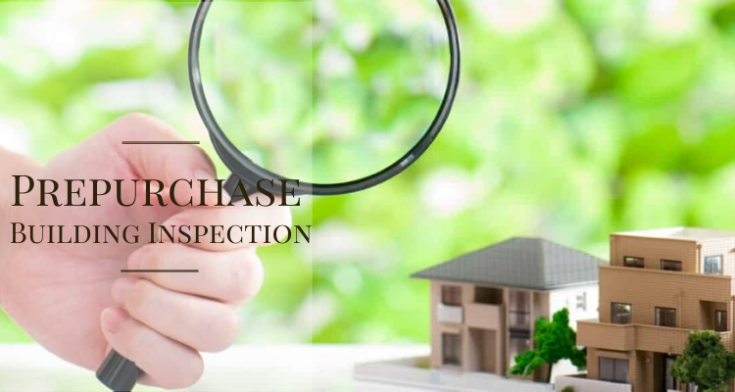 Prepurchase Inspection